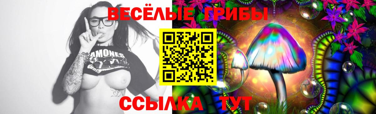 Прокопьевск  Галлюциногенные грибы Psilocybine cubensis  Вход с VPN 